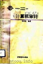 计算机审计（1990 PDF版）