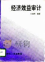 经济效益审计（1995 PDF版）