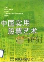 中国实用股票艺术  风险投资的指南（1992 PDF版）