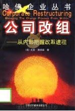 公司改组——从内部把握改革进程（1999年01月第1版 PDF版）