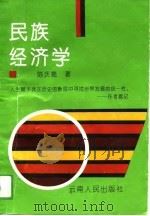 民族经济学（1994 PDF版）