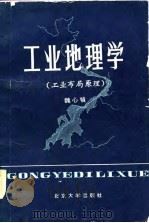 工业地理学  工业布局原理（1988 PDF版）