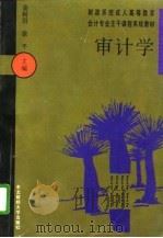 审计学（1996 PDF版）