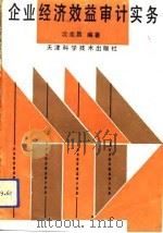 企业经济效益审计实务（1993 PDF版）