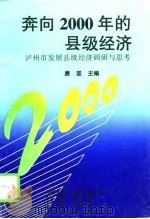 奔向2000年的县级经济  泸州市发展县级经济调研与思考（1995 PDF版）