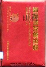 新加坡发展经验  当代新加坡的会计人力资源与经济管理的前沿论题探索（1995 PDF版）