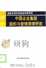 中国企业集团组织与管理原理研究（1992 PDF版）