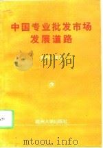 中国专业批发市场发展道路（1994 PDF版）