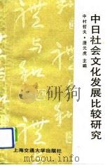中日社会文化发展比较研究（1994 PDF版）