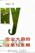 农业大县的改革与发展（1995 PDF版）