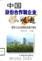 中国股份合作制企业的崛起  国有小企业改制的实践与理论（1996 PDF版）