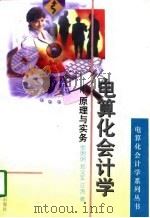 电算化会计学  原理与实务（1997 PDF版）