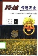 跨越传统农业 我国二元经济结构与社会主义市场经济体制的建立 1998 PDF电子版封面 7542105949 杨志龙等著