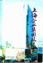 上海企业集团风华录 1995 PDF电子版封面 7532340589 上海企业集团研究会编