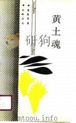 黄土魂（1990 PDF版）