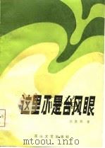 这里不是台风眼（1986 PDF版）