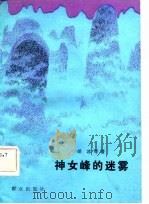 神女峰的迷雾（1982 PDF版）