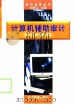 计算机辅助审计（1998 PDF版）