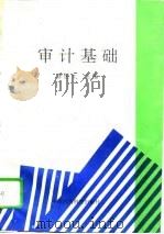 审计基础（1994 PDF版）