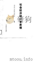 社会经济统计学原理 1988 PDF电子版封面 754160142X 刘介钦等编著