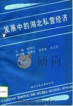 发展中的湖北私营经济（1994 PDF版）