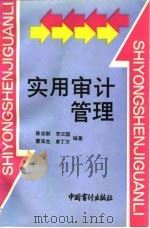 实用审计管理（1991 PDF版）