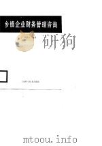 乡镇企业财务管理咨询（1989 PDF版）