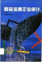 商品流通企业审计（1996 PDF版）