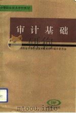 审计基础（1993 PDF版）