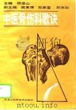 中医骨伤科歌诀（1995 PDF版）