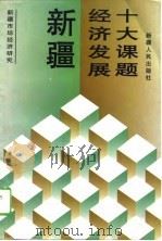 新疆经济发展十大课题（1996 PDF版）