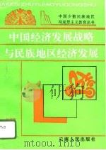 中国经济发展战略与民族地区经济发展（1996 PDF版）