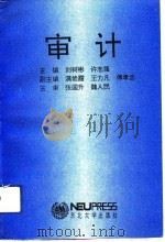 审计（1993 PDF版）