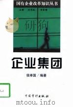企业集团（1998 PDF版）