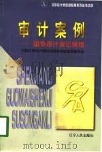 审计案例  国际审计诉讼案例（1998 PDF版）