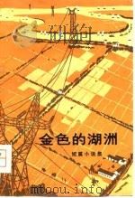 金色的湖洲  短篇小说集（1974 PDF版）