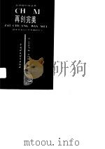 再创完美  技术开发与经营革新的较量（1990 PDF版）