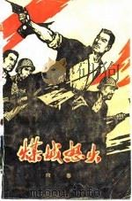 煤城怒火 1975 PDF电子版封面 向春著