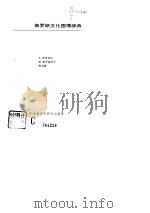 俄罗斯文化国情辞典（1995 PDF版）