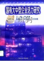 国有大中型企业活力研究（1996 PDF版）