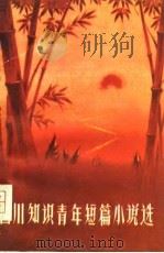 四川知识青年短篇小说选（1978 PDF版）