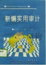新编实用审计（1994 PDF版）