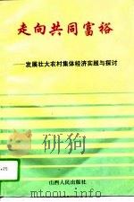 走向共同富裕  发展壮大农村集体经济实践与探讨（1994 PDF版）