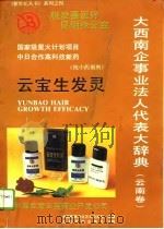大西南企事业法人代表大辞典  云南卷（1994 PDF版）