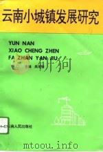云南小城镇发展研究（1995 PDF版）