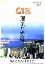 CIS理论与实务（1997 PDF版）