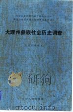 大理州彝族社会历史调查（1991 PDF版）