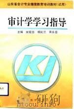 审计学学习指导（1993 PDF版）