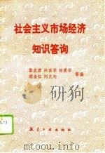社会主义市场经济知识答询（1994 PDF版）