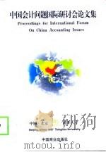 中国会计问题国际研讨会论文集（1998 PDF版）